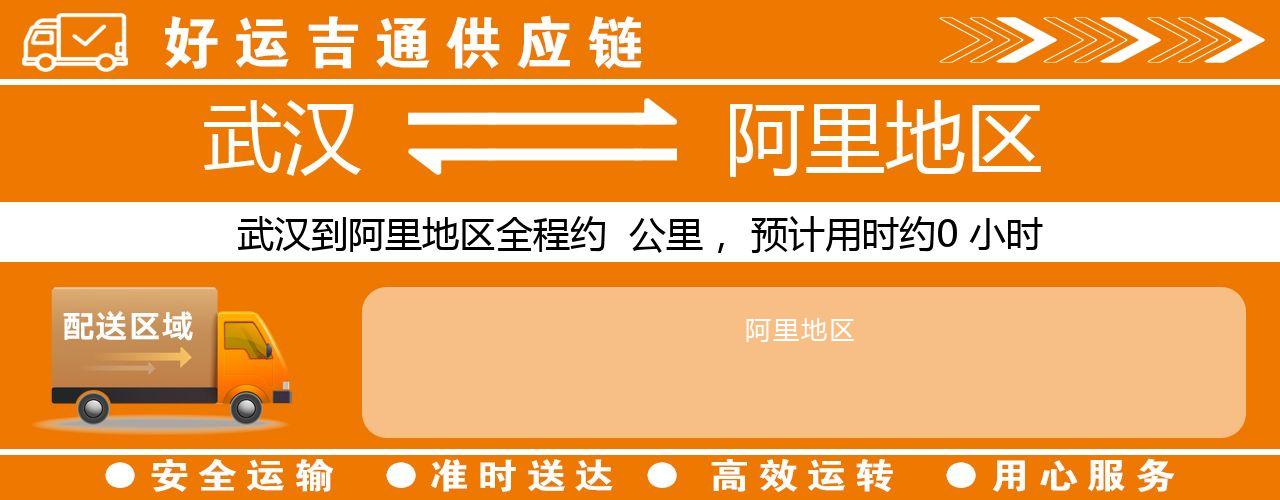 武汉到阿里地区物流专线-武汉至阿里地区货运公司